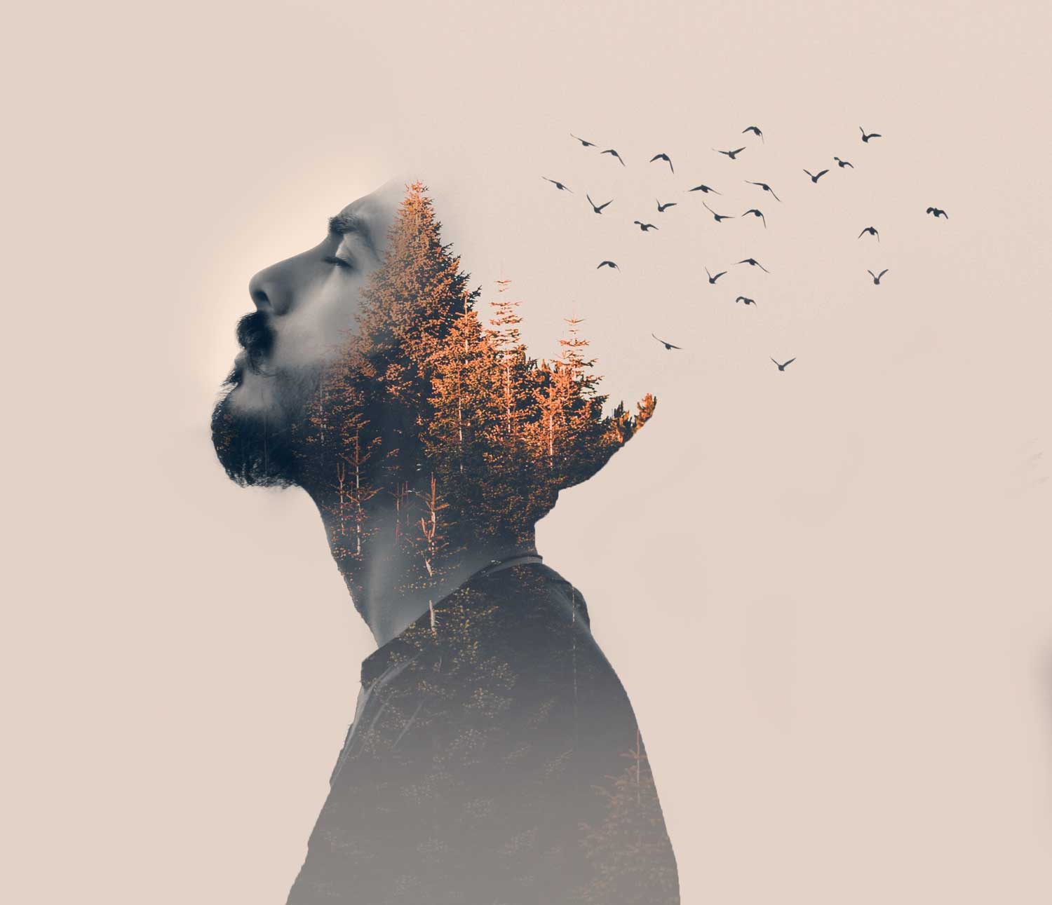 Double exposure of man with trees and birds dissolving out of his head